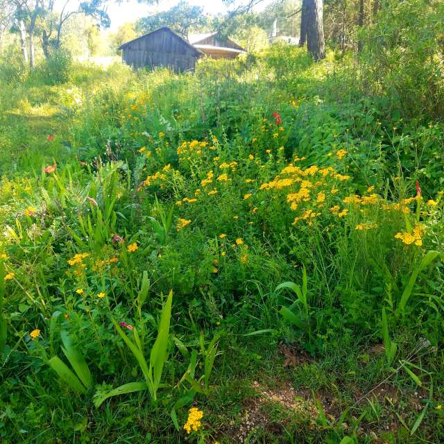Weather forecasts with beautiful photos by Maggie Cabrer