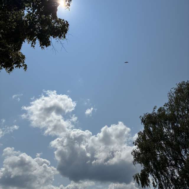 Prévisions météo avec de superbes photos de cigov