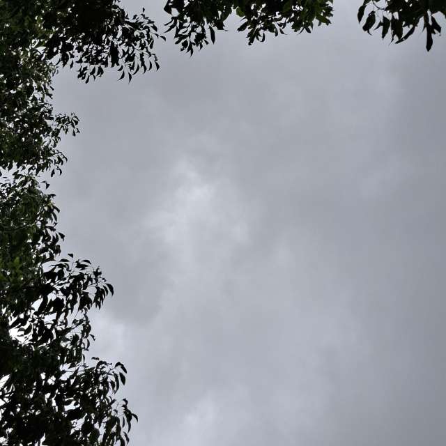 Side. Weather forecasts with beautiful photos by Wen-ya Huang Photos in Kaohsiung City