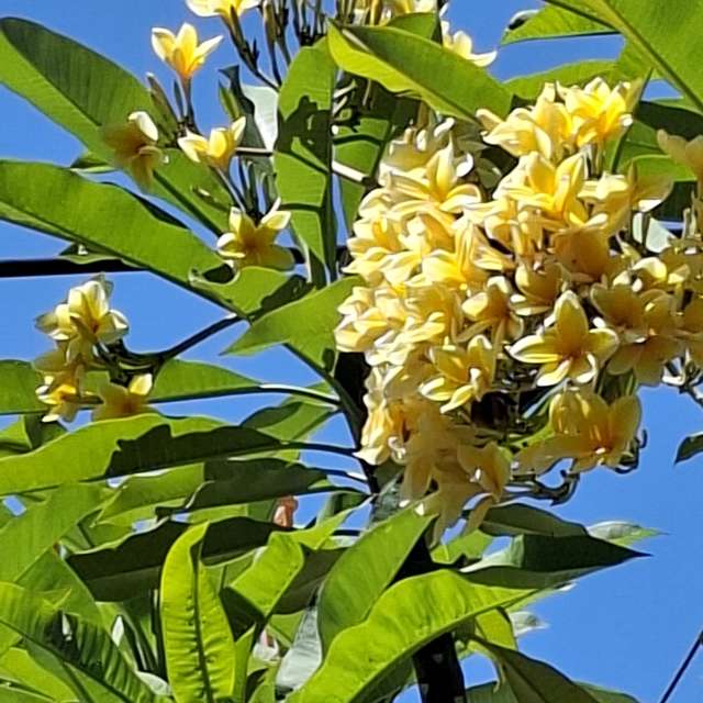 Fotos Alto. Previsões do tempo com lindas fotos de Wen-ya Huang em Kaohsiung City