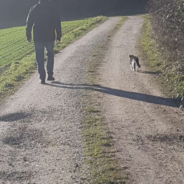 天气预报，带aida-khaldi精美的照片