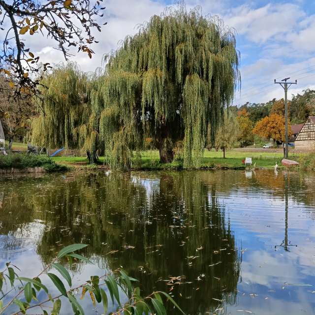 accoteの美しい写真による天気予報