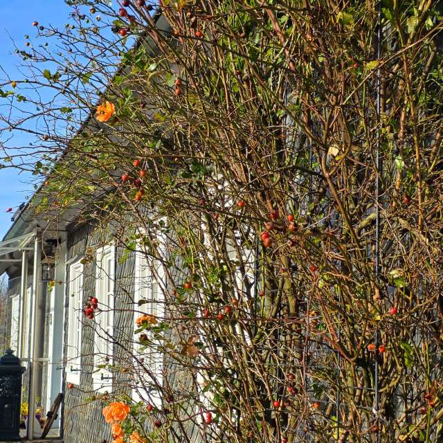 House. Weather forecasts with beautiful photos by Seni Photos in Velbert