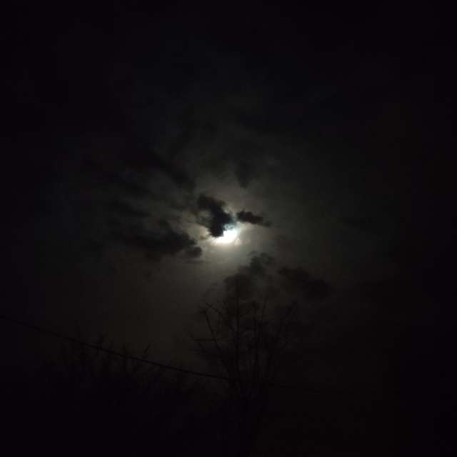 Photos Nature. Prévisions météo avec de superbes photos de 55CASPER55 de Dubovka