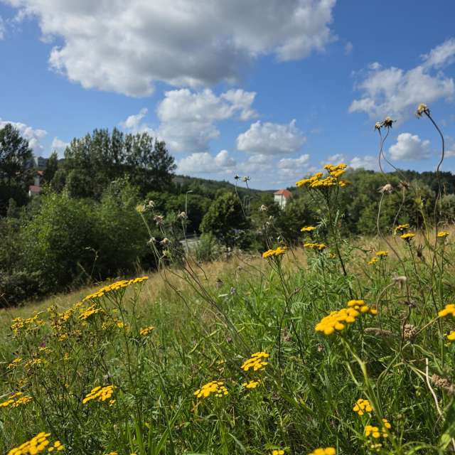 世界の天気写真. xPrzybyLxの美しい写真による天気予報