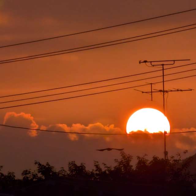 To stop. Weather forecasts with beautiful photos by あさのジジ Photos in Okayama