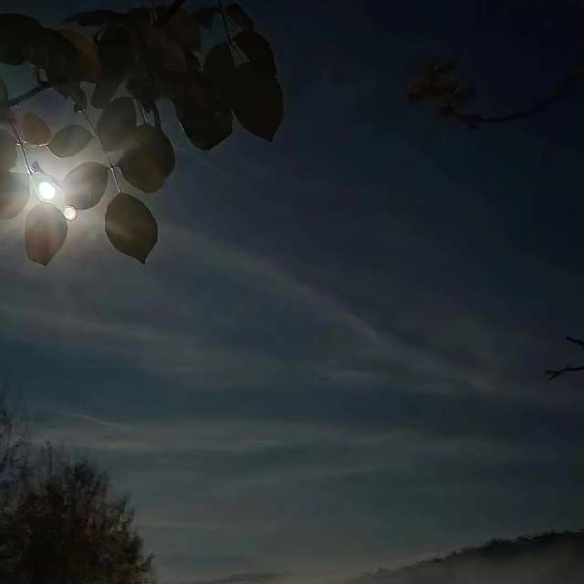 Patryknowの美しい写真による天気予報