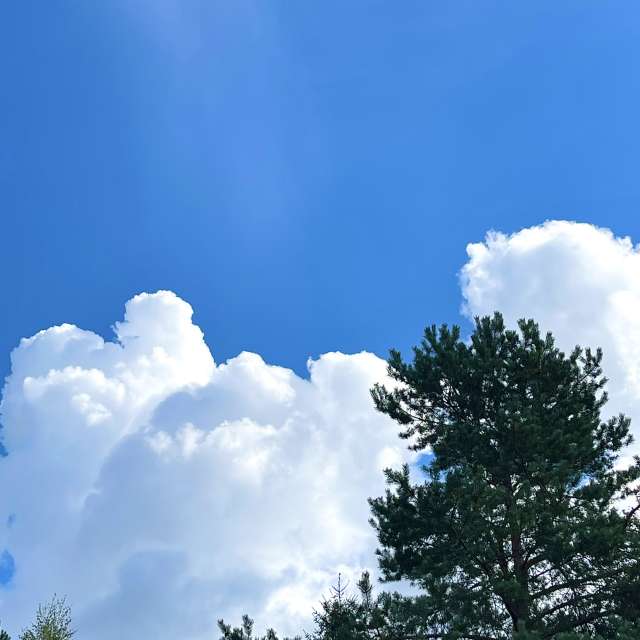 Wettervorhersagen mit schönen Fotos von Dmitry8