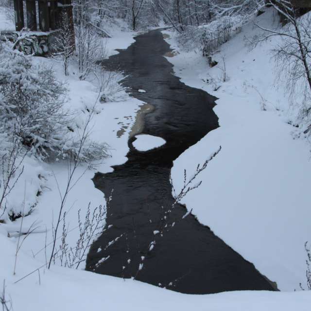 Weather forecasts with beautiful photos by urubu