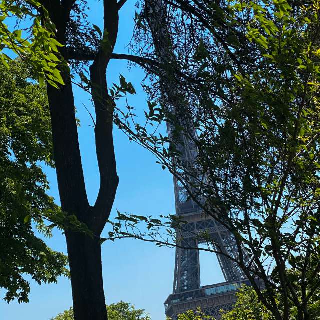 Prévisions météo avec de superbes photos de yukicrystal