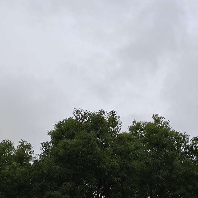 Fotos Jogando. Previsões do tempo com lindas fotos de Wen-ya Huang em Kaohsiung City