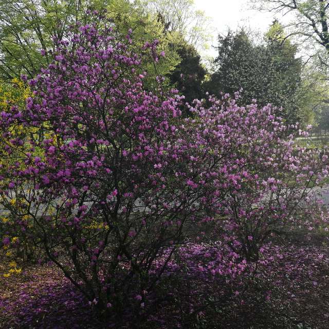 Large. Wettervorhersagen mit schönen Fotos von mako_lv Fotos Riga