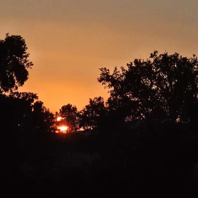 Wettervorhersagen mit schönen Fotos von ILIE
