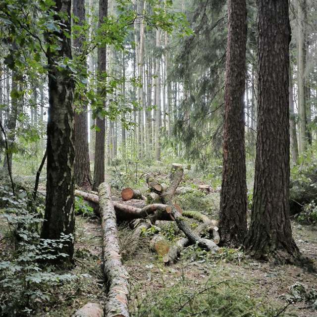 Прогнозы погоды с чудесными фотографиями, сделанными Adraj