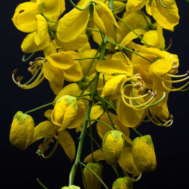 Previsões do tempo com lindas fotos de Vimal_Ram_S