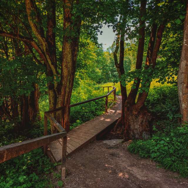 accoteの美しい写真による天気予報