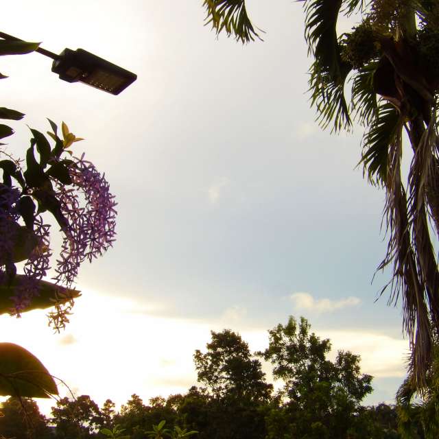 Previsões do tempo com lindas fotos de lcruz23