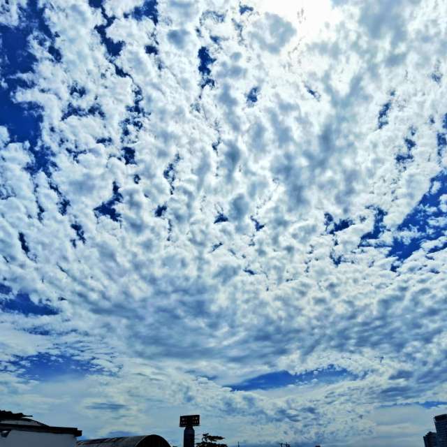 天气预报，带davidonefighter精美的照片