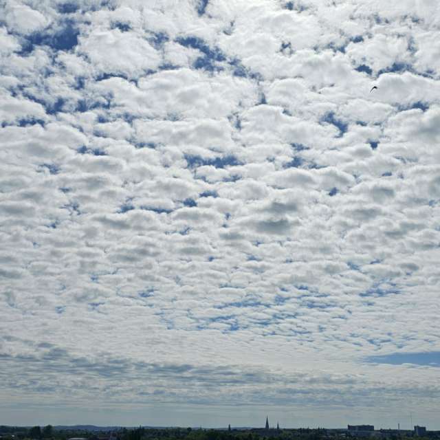 Fotos Campo. Previsões do tempo com lindas fotos de Thinner1000 em Schwerin