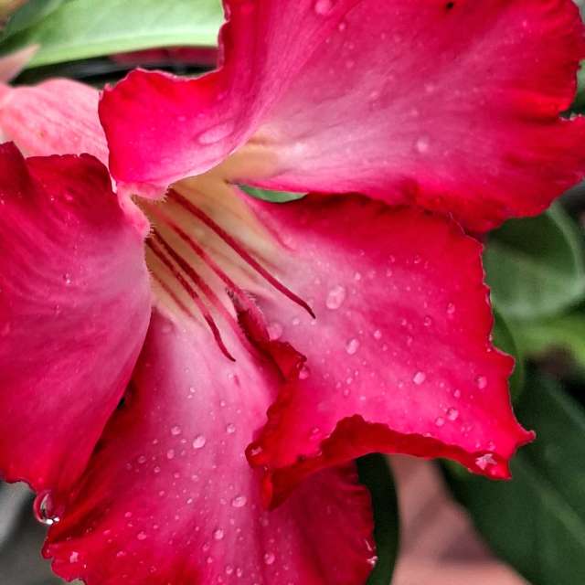 Innen. Wettervorhersagen mit schönen Fotos von Wen-ya Huang Fotos Kaohsiung