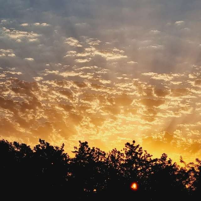 Weather Photos in Sunset. Weather forecasts with beautiful photos by Shohreh