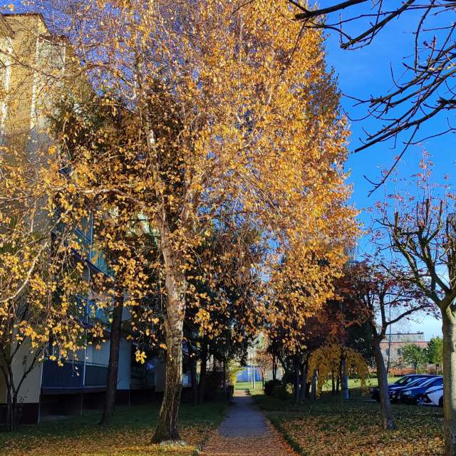 Weather forecasts with beautiful photos by Romek58