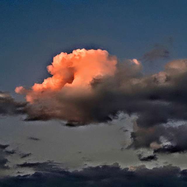 Bird. Weather forecasts with beautiful photos by Wiesiek Photos in Gdansk