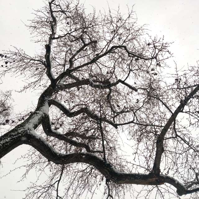 Прогнозы погоды с чудесными фотографиями, сделанными Zorrra