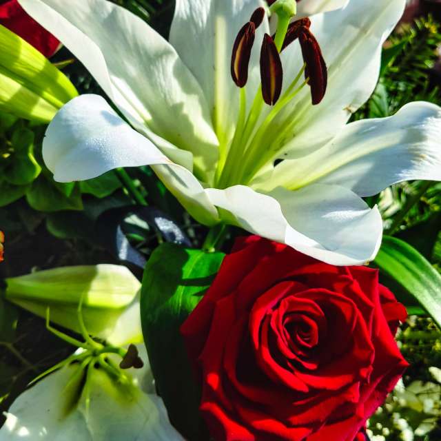 Weather forecasts with beautiful photos by VersusPoint