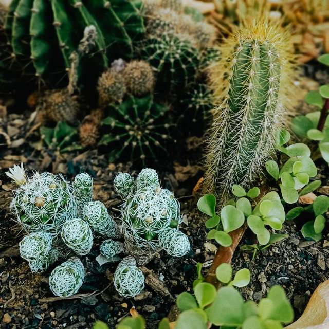 Previsões do tempo com lindas fotos de Bia1995