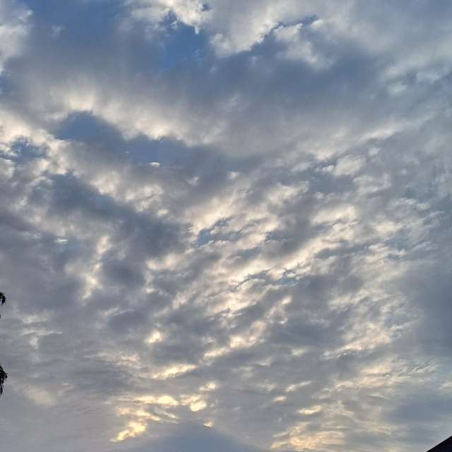 Photos Debout. Prévisions météo avec de superbes photos de Lolli de Maidstone