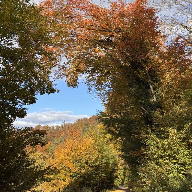 Weather forecasts with beautiful photos by DocHolliday987