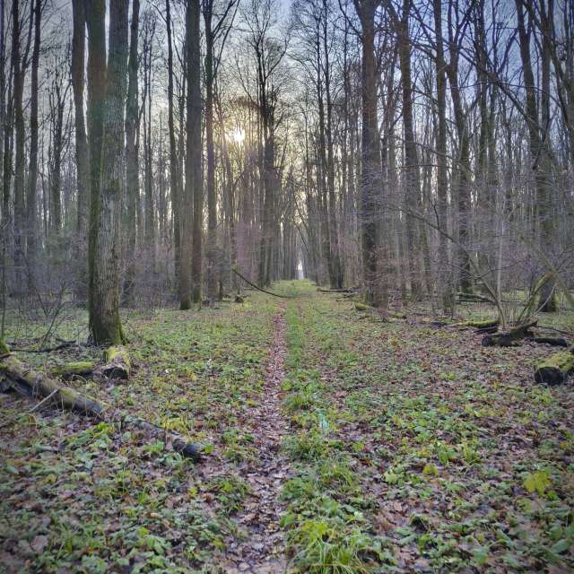 Yasnaya Polyana的Weather. 天气预报，带Aleksei精美的照片照片