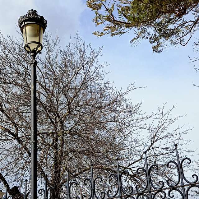 Pronósticos del tiempo con hermosas fotos de MOR