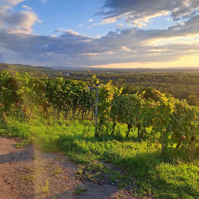 Прогнозы погоды с чудесными фотографиями, сделанными Jens