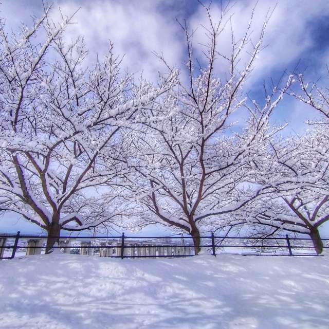 Standing. Weather forecasts with beautiful photos by Kasumisou Photos in Saku-shi