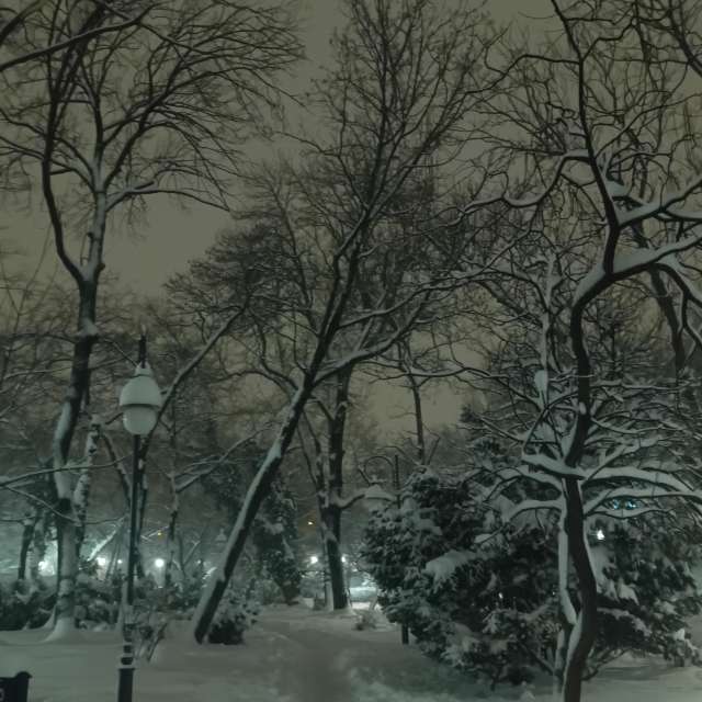 Fotos del Cruz. Pronósticos del tiempo con hermosas fotos de YanBog en București