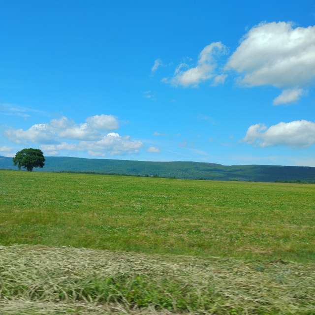 Wetter Photos Welt. Wettervorhersagen mit schönen Fotos von Joan Curtis