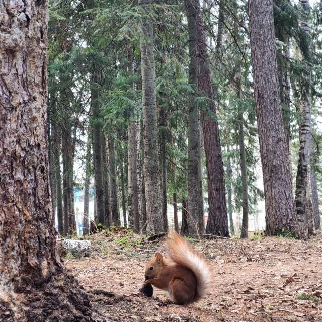 Pronósticos del tiempo con hermosas fotos de Fox_1900