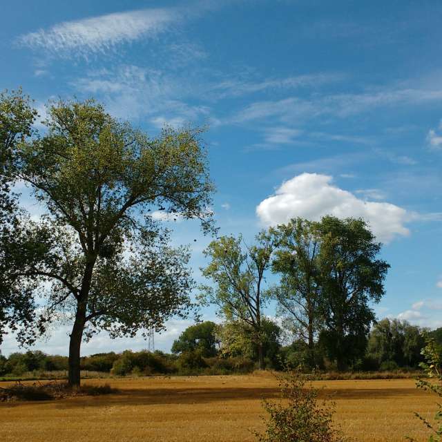 Fotografii cu Weather. Prognoze meteo cu poze minunate făcute de Liv în Maasmechelen