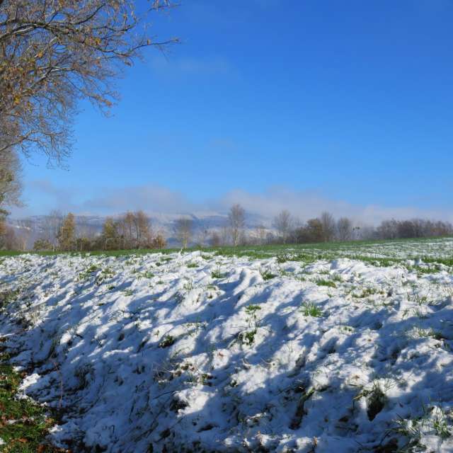 Weather forecasts with beautiful photos by MariePhotos