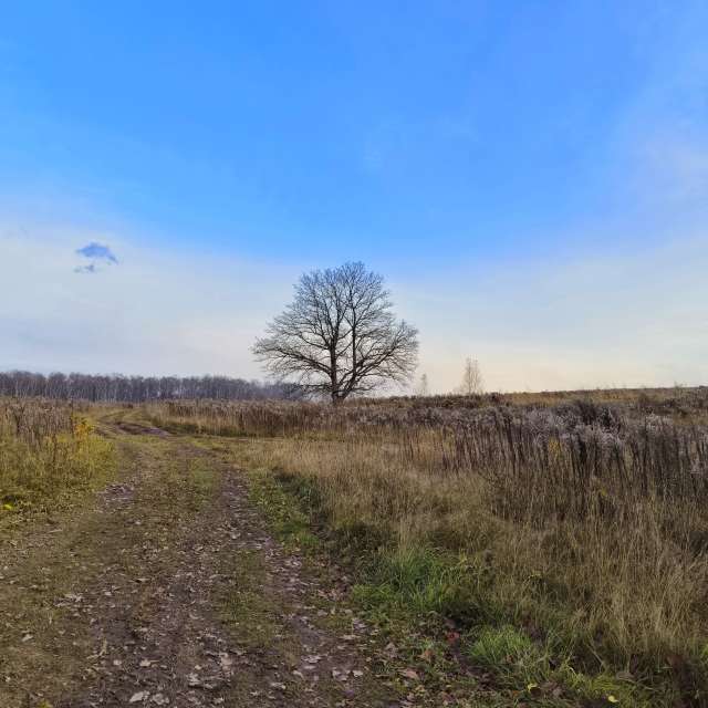 Flying. Weather forecasts with beautiful photos by Aleksei Photos in Tula