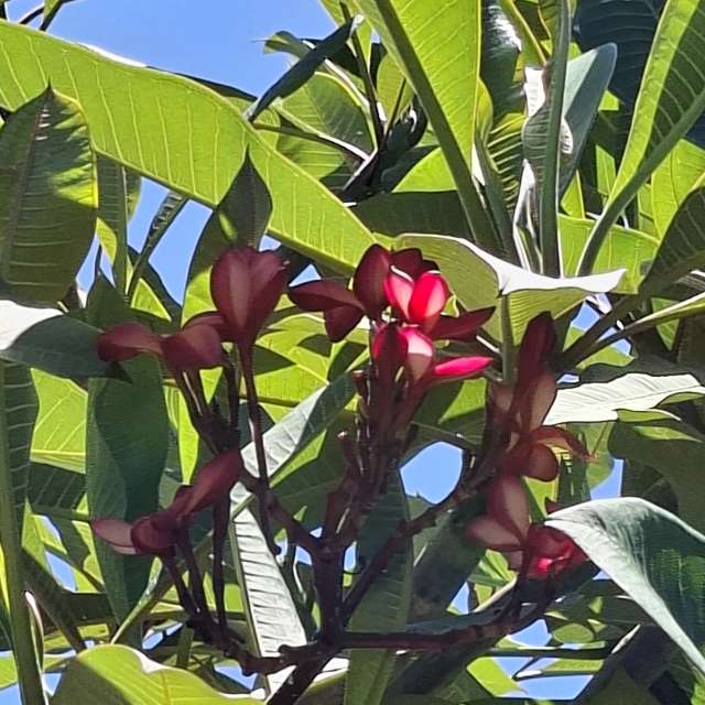 Photos Champ. Prévisions météo avec de superbes photos de Wen-ya Huang de Kaohsiung