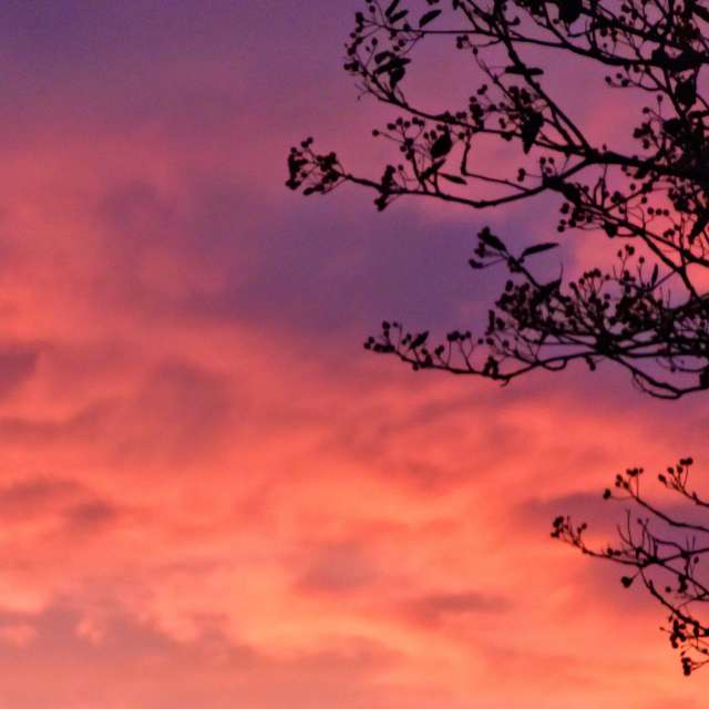 Tower. Weather forecasts with beautiful photos by Seni Photos in Velbert