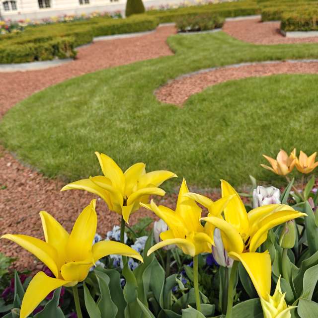 Previsões do tempo com lindas fotos de newgen