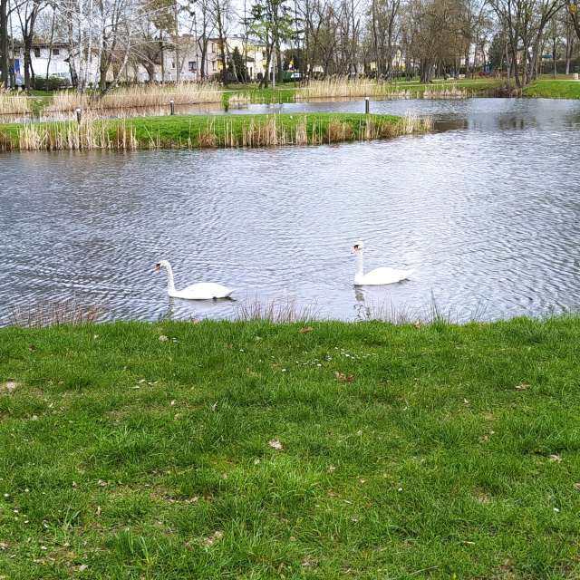 Fotos del Herboso. Pronósticos del tiempo con hermosas fotos de Romek58 en Wieluń