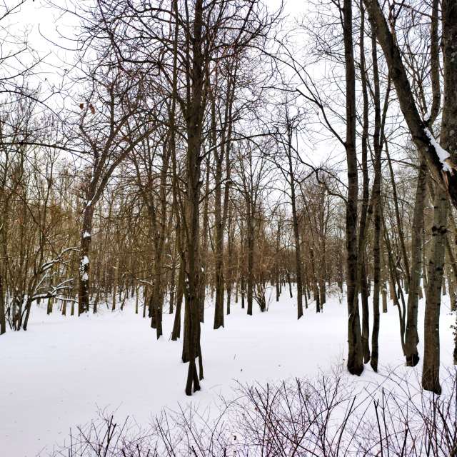 天气预报，带sloarai精美的照片
