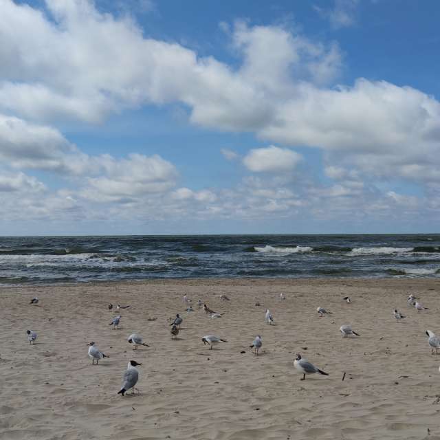 Pronósticos del tiempo con hermosas fotos de Maryous
