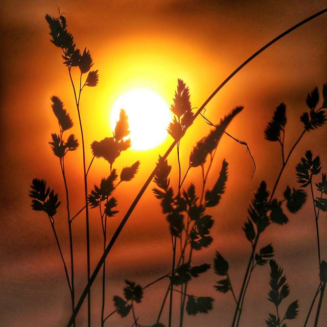 Room. Weather forecasts with beautiful photos by Lotti5507 Photos in Stockum