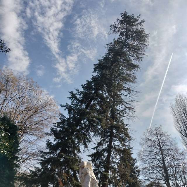 Fotos del Aire. Pronósticos del tiempo con hermosas fotos de YanBog en București